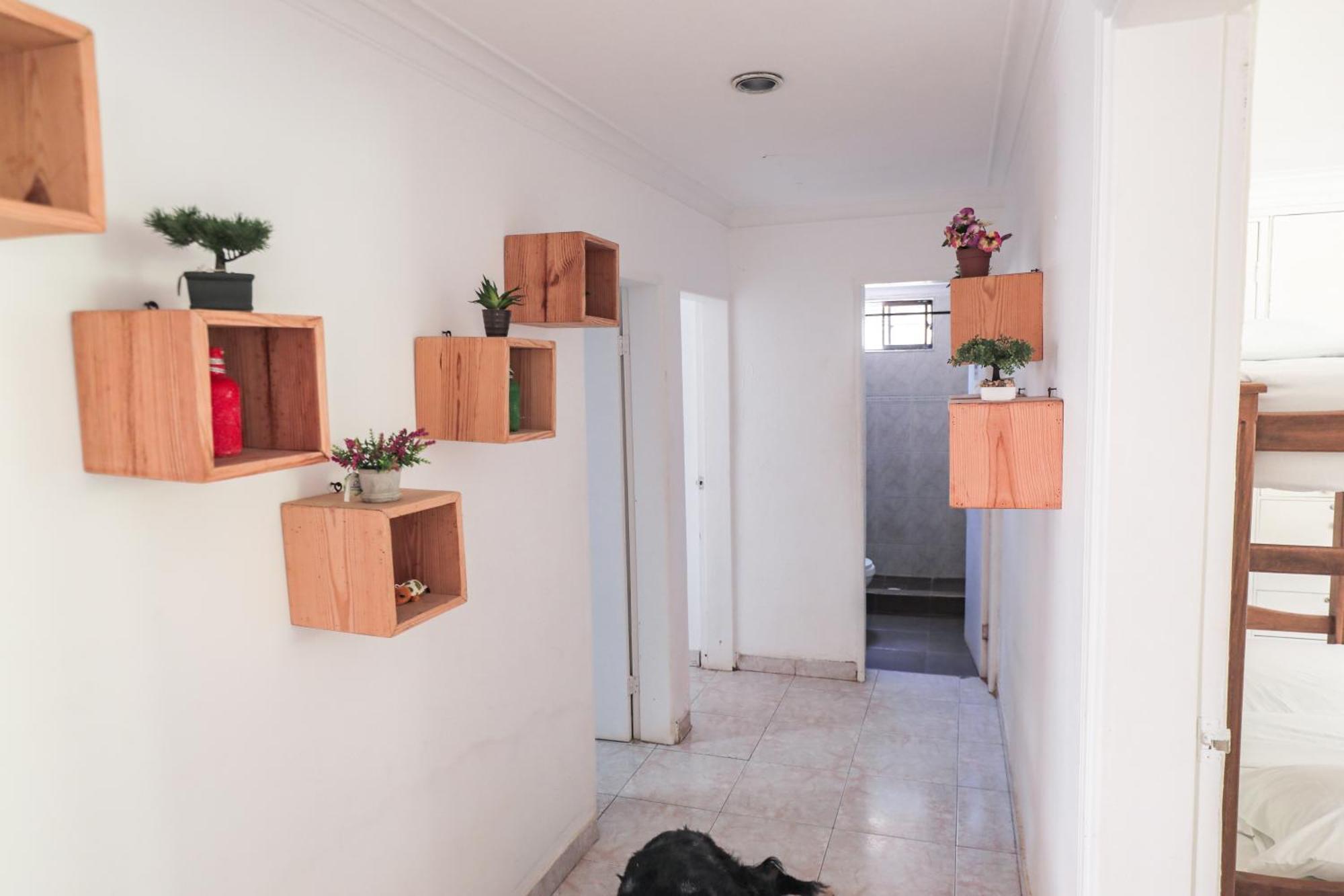 Hostal Palo Alto Сан-Андрес Экстерьер фото